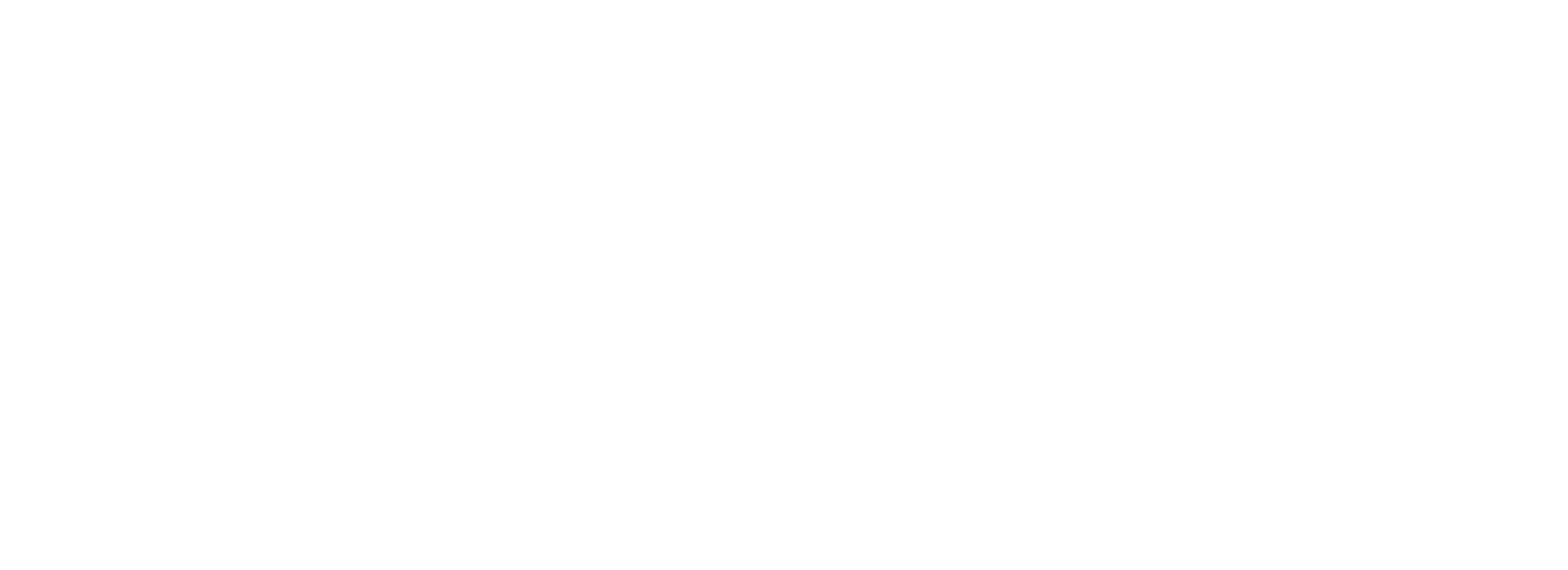 Dreamtime_Logo_Horizontal_AllWhite