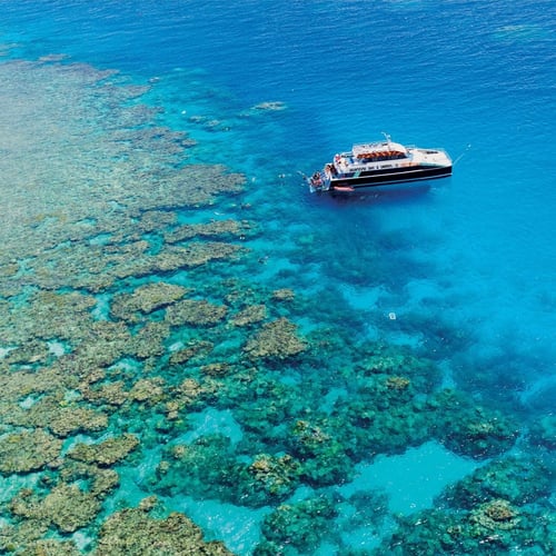 Dreamtime Vessel_zoomed out_lo res-1 Dreamtime Vessel_zoomed out_lo res-1